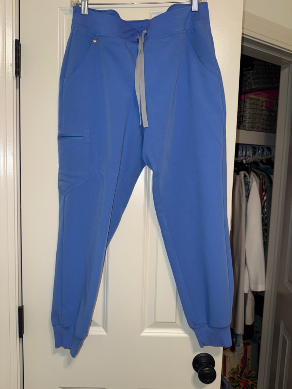 Figs Zamora Jogger Scrub Pants on Scrub blue